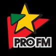 プログラムのアイコン：ProFM