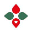 プログラムのアイコン：Stipendium Hungaricum