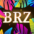 Ikon program: BRZ