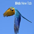 Icona del programma: Birds New Tab Wallpapers