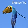 Birds New Tab Wallpapers