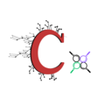 أيقونة البرنامج: Carbon X - Website Audito…