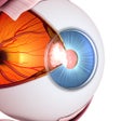 Ikona programu: Vision Workout : Eye Trai…