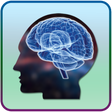 プログラムのアイコン：Brain Training