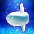 程序图标：Aquarium Sunfish simulati…
