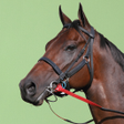 Programın simgesi: Horse Sounds