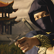 プログラムのアイコン：Ninja assassins Fighter