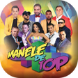 Icon of program: Manele de Petrecere