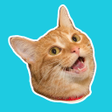 أيقونة البرنامج: Stickr: Sticker Maker