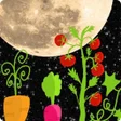 プログラムのアイコン：Gardener's Lunar Calendar