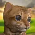 My Cute Little Kitten:Pet Game