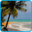 プログラムのアイコン：Beach and sea.