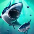 Ícone do programa: Fish Grow and Evolution