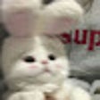 Ikon program: Minecraft Wiki redirect