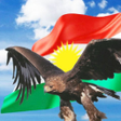Icon of program: Kurdish Flag Wallpapers