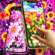 程序图标：Flowers live wallpaper