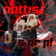Icon of program: NOTTIS S OR P VC