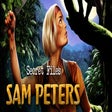 プログラムのアイコン：Secret Files: Sam Peters