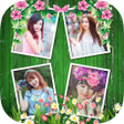 ไอคอนของโปรแกรม: Collage