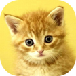 プログラムのアイコン：Baby Animals Game