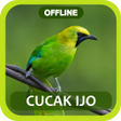 プログラムのアイコン：Masteran Cucak Ijo Terlen…