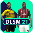 プログラムのアイコン：DLSMASTER 21