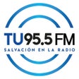 Иконка программы: TU 95.5 FM