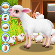 Baby Sheep Care icon