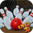 Icon of program: Bowling with Wild