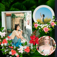 ไอคอนของโปรแกรม: plain photo frame