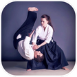 أيقونة البرنامج: Aikido MA