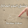 プログラムのアイコン：رواية عشق البحر المالح