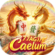 프로그램 아이콘: 77AGCaelum