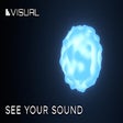 程序图标: Visual BETA
