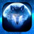 Wolves Wallpaper Live HD3D4K