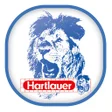 Иконка программы: HARTLAUER FOTO WORLD APP