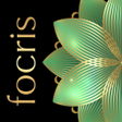 프로그램 아이콘: Focris