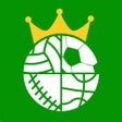 程序图标：Prediction Football