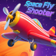 Programikonen: Space Fly Shooter