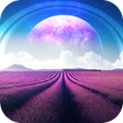 程序图标：Purple Wallpaper HD