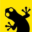 Programikonen: Newt - Scooter Sharing