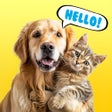 Icoon van programma: PetTalk