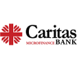 程序图标：CaritasPay