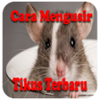 プログラムのアイコン：Cara Mengusir Tikus Terba…