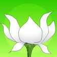 Lotus Bud Mindfulness Bell