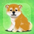 Icon of program: 癒しの子犬育成ゲーム柴犬編