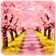プログラムのアイコン：桜路