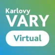 プログラムのアイコン：Vary Virtual