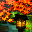 プログラムのアイコン：錦秋の坂道