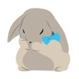 Icon of program: WhosDue